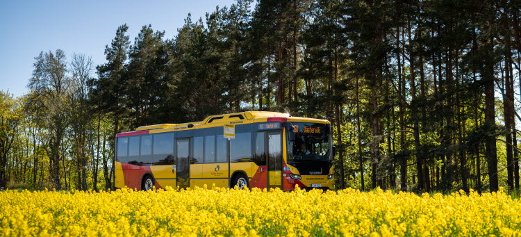 Buss i landsvägstrafik.