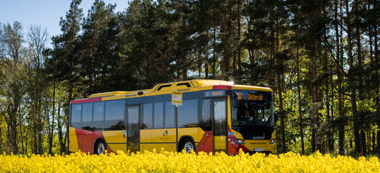 En buss från Kalmar länstrafik kör på landsväg.
