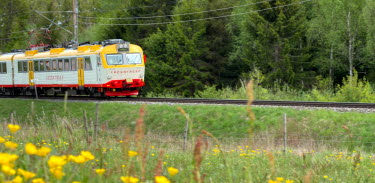 Ett kröstatåg kör genom försommarmiljö med blommor vid vägrenen.
