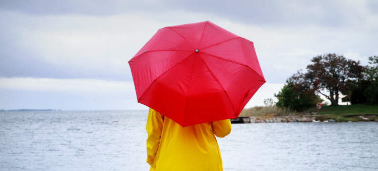 En person står med ett paraply på en brygga.