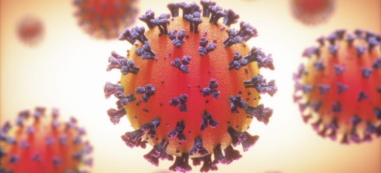 Laboratoriebild på viruset som ger covid-19.