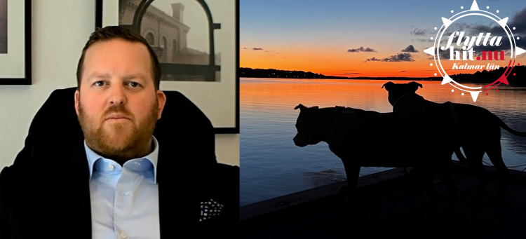 Collage av två bilder. Bild 1: Daniel Junede sitter på sitt kontor och tittar rakt in i kameran. Bild 2: Hans två hundar är fotograferade i motljus i kvällssol.